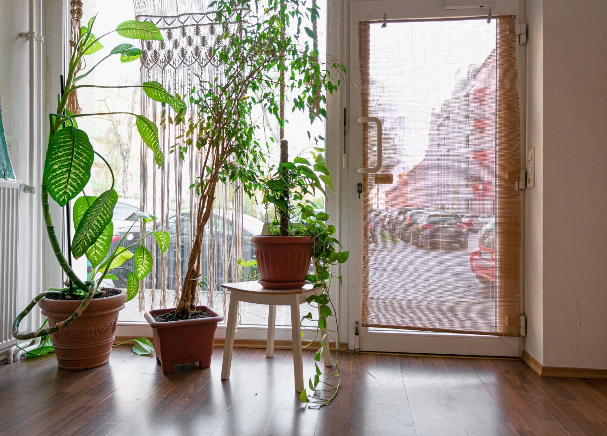 Boutique Altbau Apartment Berlin Bagian luar foto